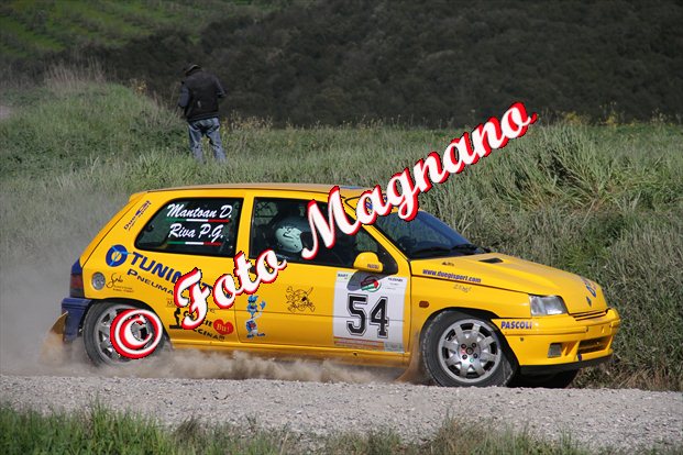 449.jpg